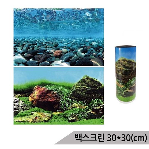 대표이미지