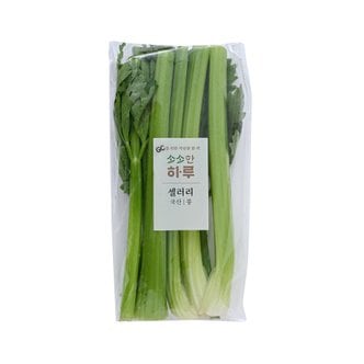  하루채소 샐러리 (150g)