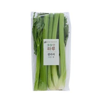  하루채소 샐러리 (150g)