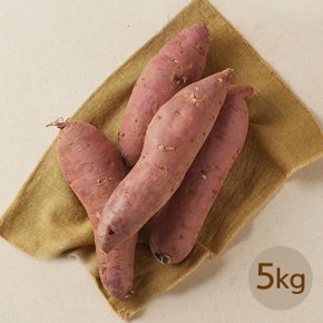 산지직송 여주 햇 꿀고구마 5kg (박스/개당 70-320g)