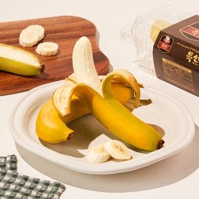 [프리미엄] 필리핀산 특선 바나나 550g 팩