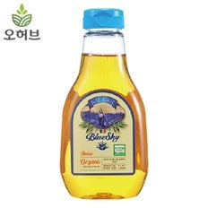 블루스카이 유기농 아가베시럽 엠버 330g 설탕대체