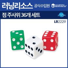 점 주사위 36개(LR2229)