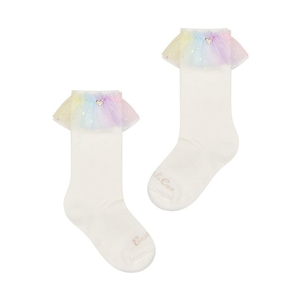 확대된 대표 IMAGE1