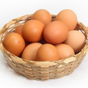 [에그온] [S]난각번호1번 무항생제 유정란 20구