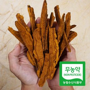 [버섯농부] 국내산 무농약 상황버섯 30g x 2개