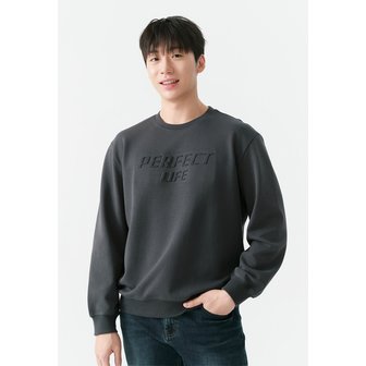  [25FW] 남성) 특양면 엠보 세미오버핏 스웻 티셔츠 AP3WMT505-CH