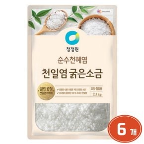 대상 청정원 천일염 굵은소금 1kg [6개]