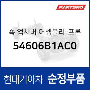 프론트 쇼크업소버(쇼바),우측 (54606B1AC0)  제네시스 G80 현대모비스 부품몰