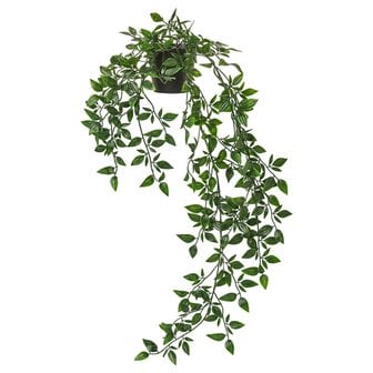 이케아 SSG 페이카 인조식물 실내외겸용 걸이형 가는잎 70cm 화분지름9cm