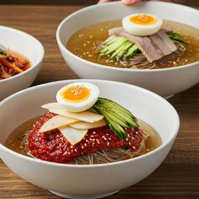 반반세트(평양냉면 10인+냉면육수 5팩+냉면비빔장 5개)