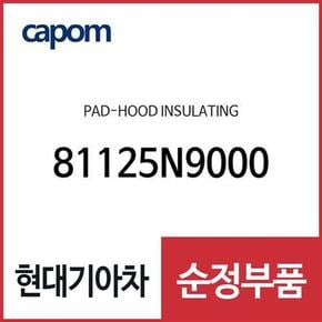 후드 인슐레이팅 패드(본네트 방음판) (81125N9000) 디올뉴 투싼NX4, 디올뉴 투싼NX4 하이브리드