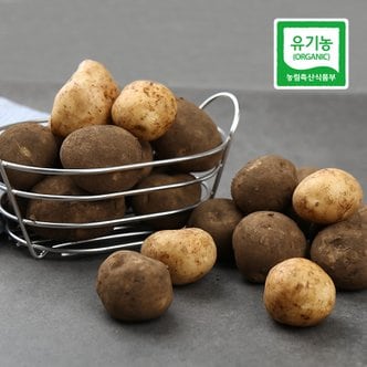  친환경 강원도 감자 특품 5kg
