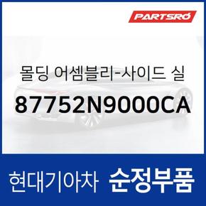 사이드실 몰딩(사이드스커트),조수석쪽 (87752N9000CA) 디 올 뉴 투싼 현대모비스부품몰