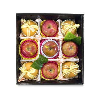 포레스트그룹 사과, 배 혼합 선물세트 4.5kg (사과430g 내외5개+배600g 내외4개)