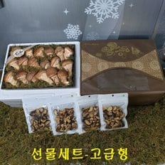 / 선물 참송이버섯 고급형700g+사은품칩30g×4팩