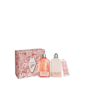 L`OCCITANE Kirschblute 바디케어 선물세트Xmas 24 바디케어세트