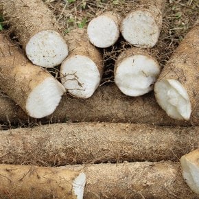 모자농부의 안동장마 마 2kg 알뜰(작은사이즈)