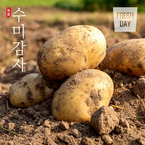 [산지직송] 포슬포슬 쫀득한 햇 수미감자 10kg (대/80g~120g내외)