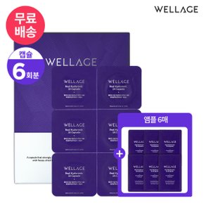시즌3 히알루론산 캡슐 6회분 1.2ml 앰플 샤쉐 * 6매