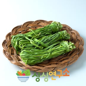 [특등급 선별 건궁채] 건조궁채 1kg