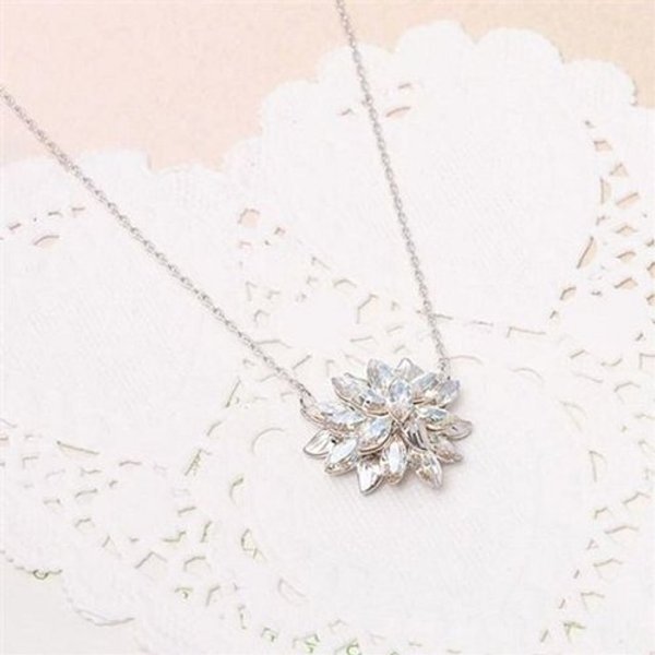 확대된 대표 image1