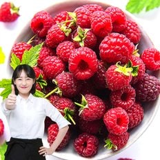  포미식탁 국내산 제철 생 산딸기 250g x 4팩