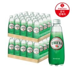  [본사직영] 트레비 자몽 300ml펫 x 40입