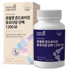 네이처그랜드 관절엔 콘드로이친 뮤코다당단백 1200 M 1000mg 120정 2개월분