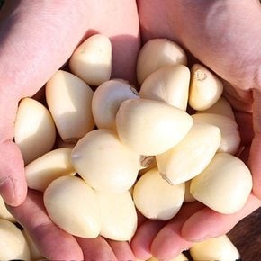 의성마늘 토종마늘 통마늘 대 1kg