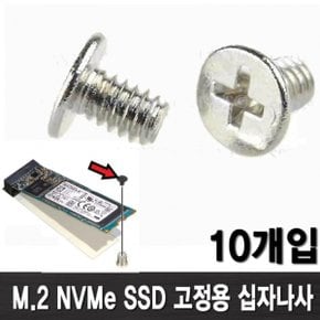 M.2 SSD 고정용 나사 10개입