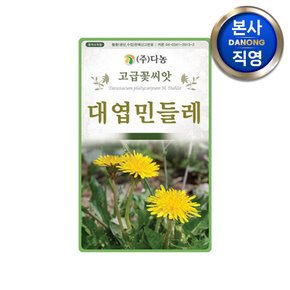 대엽민들레 금황색꽃 씨앗 100g . 야생화 식물 꽃씨 노란 꽃 조경 정원 종자