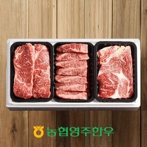 [농협영주한우]1+ 로스특수부위 모듬 한판 5호 / 총 600g (등심200g,채끝200g,특수부위200g)