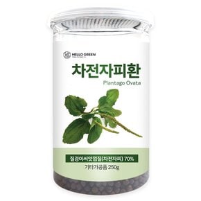 차전자피환 250g(통)