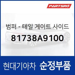 범퍼-테일 게이트 사이드 가이드 (81738A9100)  니로 하이브리드, 올뉴 카니발, 더뉴 카니발, 스포티지 더 볼드, 디올뉴 투싼NX4, 디올뉴 투싼NX4 하이브리드, 더올뉴 스포티지, 쏘렌토 하이브리드, 더올뉴 스포티지 하이브리드, 팰리세이드,