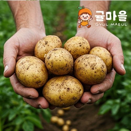 추가2이미지