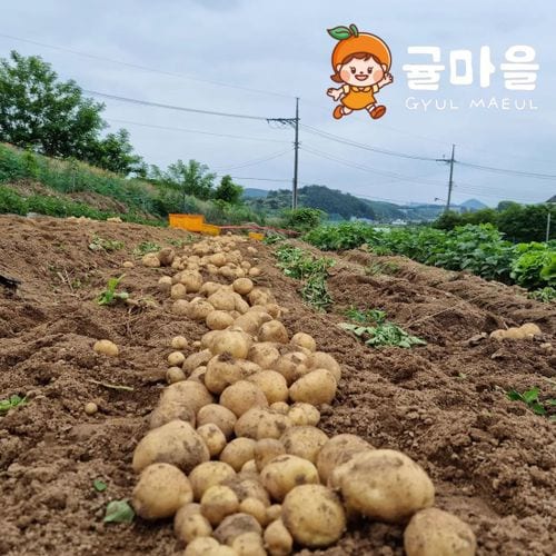 추가3이미지