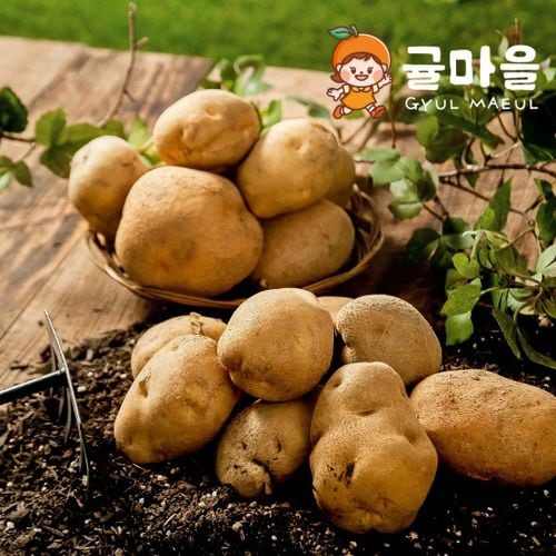 추가4이미지