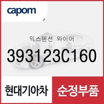 현대모비스 익스텐션 와이어 (393123C160) 올뉴 카니발, 더뉴 카니발, 맥스크루즈, 올뉴 K7, 팰리세이드, 더 뉴 팰리세이드