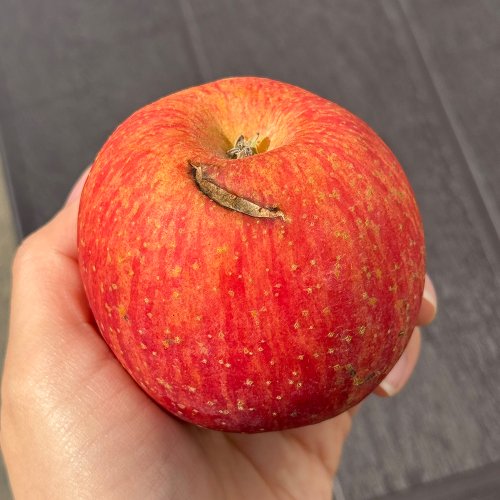 추가4이미지