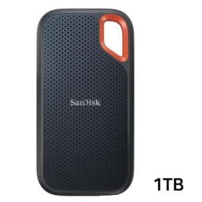 SanDisk Extreme Portable SSD V2 외장하드 (SSDE61) (1TB) (S11352999)