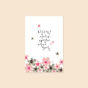 아트박스/캘리엠 캘리그라피엽서 ( KMYJ_지금처럼-언제나) 사랑엽서