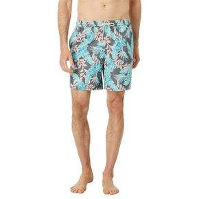 4984935 Quiksilver Waterman Perfect Feel Volley 17