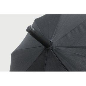 송월 송월 장 폰지무지 70