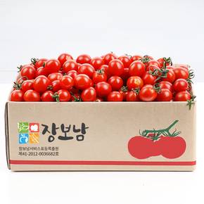 토마토 방울토마토 대추방울토마토 2kg(소과/4번)