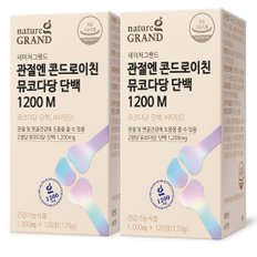 네이처그랜드 관절엔 콘드로이친 뮤코다당단백 1200 M 1000mg 120정 2박스 4개월분