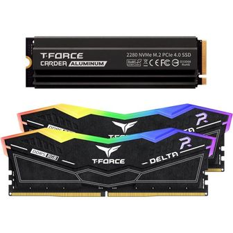  미국 팀그룹 램 DDR5 TEAMGROUP TForce Delta RGB 32GB Kit 2x16GB 6200MHz Ram 블랙 FF3D532G62