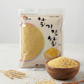 [2025년산/무료배송]찰기장쌀1kg
