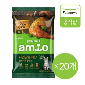 [풀무원 아미오]자연담은식단 캣 행복가득칠면조 40gX20개[33356987].