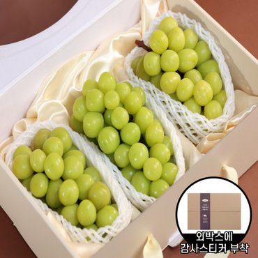 온세담 [9/22일 순차출고][제철과일]Gift set3호 샤인머스켓세트1.5kg(샤인머스켓 3송이)_신세계로고안전외피박스